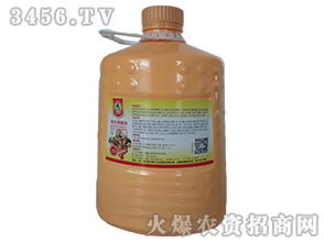 果豐與諾倍豐 探索微生物菌劑的田間奇跡